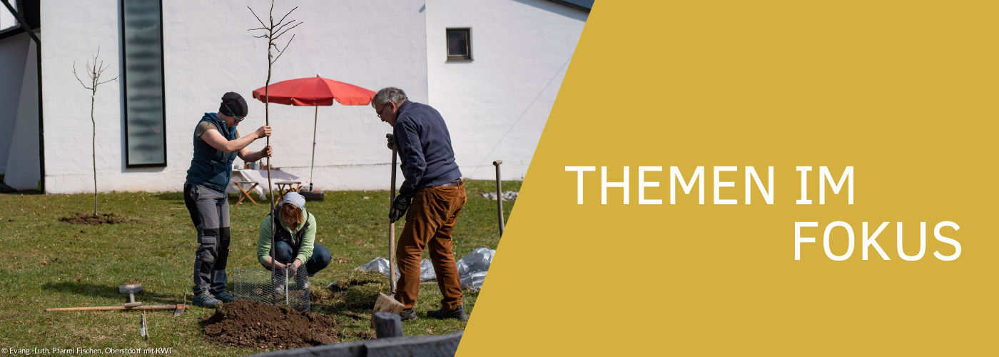 Drei Menschen pflanzen einen Baum
