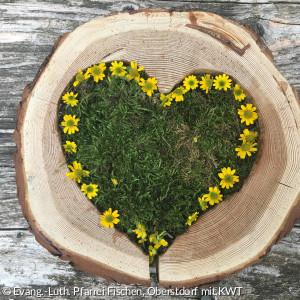 Herz aus grünen Zweigen und Blumen auf einer Baumscheibe